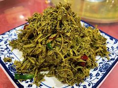 -照金特色农家乐