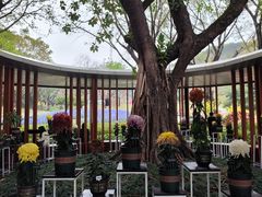 -云溪植物园