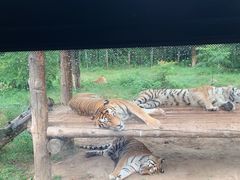 -西安秦岭野生动物园