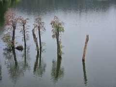 -番禺大夫山森林公园