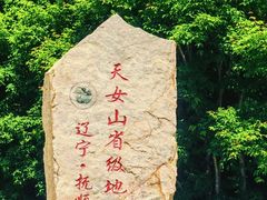 -天女山森林公园
