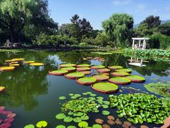 -国家植物园南园