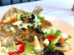 多宝鱼两吃-老伙记海鲜码头(北滘店)