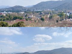 -香雪海
