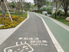 -王借岗森林公园