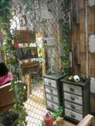 -藤野造型·专业烫染店