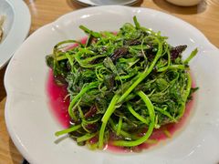 苋菜-董厨煨汤馆(车站路店)