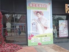 -荷兰花海