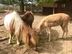 -武汉紫薇都市田园