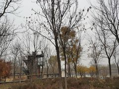 -东郊湿地公园