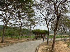 -天适樱花悠乐园