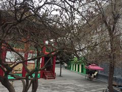 -西宁市东关清真大寺