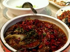 水煮牛肉-采粤轩中餐厅(惠州金海湾喜来登度假酒店)