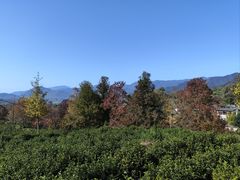 -塔川景区