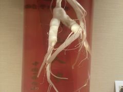 -广东中医药博物馆
