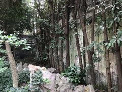 -君来梁溪饭店-餐厅