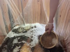 -皇室假期美食水疗会(春风路店)