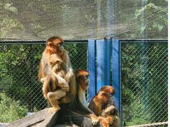 -大连森林动物园