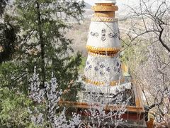 -颐和园