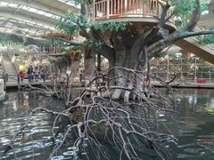 -南宫五洲植物乐园