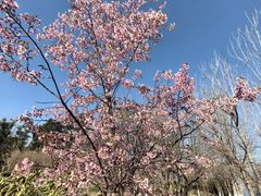 -西昌邛海湿地