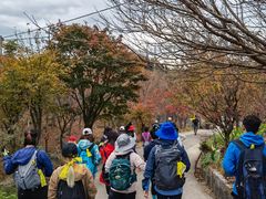 -四明山国家森林公园