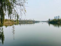 -洋湖国家湿地公园