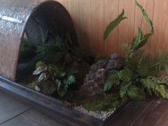 -沅江水·湖南家宴(南村万博长隆商圈店)