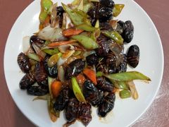 -渔掌门(铁东店)