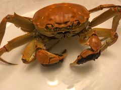 -七的湖·晚芳亭·阳澄湖农家菜·大闸蟹(莲花岛店)