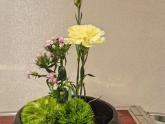 -新长福(星沙店)