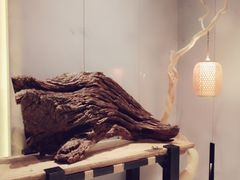 -诺世嘉顿酒店Rose·花园餐厅