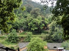 -杨家堂村