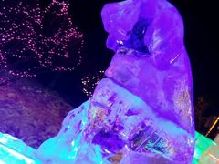 -长春公园(普阳街道)