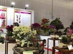 -东南花都花博园