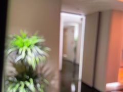 -素可汤泉(天宝大厦店)