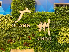 -广州白云国际机场-T2航站楼