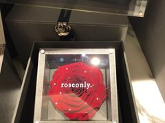 -ROSEONLY诺誓(磐基中心店)