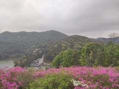 -广州市石门国家森林公园