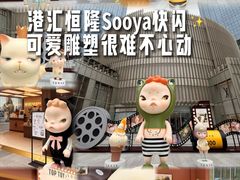 -港汇恒隆广场