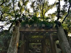 -天一阁博物院