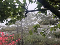 -罗田薄刀峰风景区