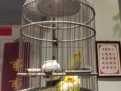 -海碗居老北京炸酱面(增光路店)