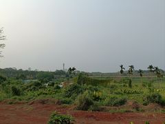 -侯臣咖啡文化村