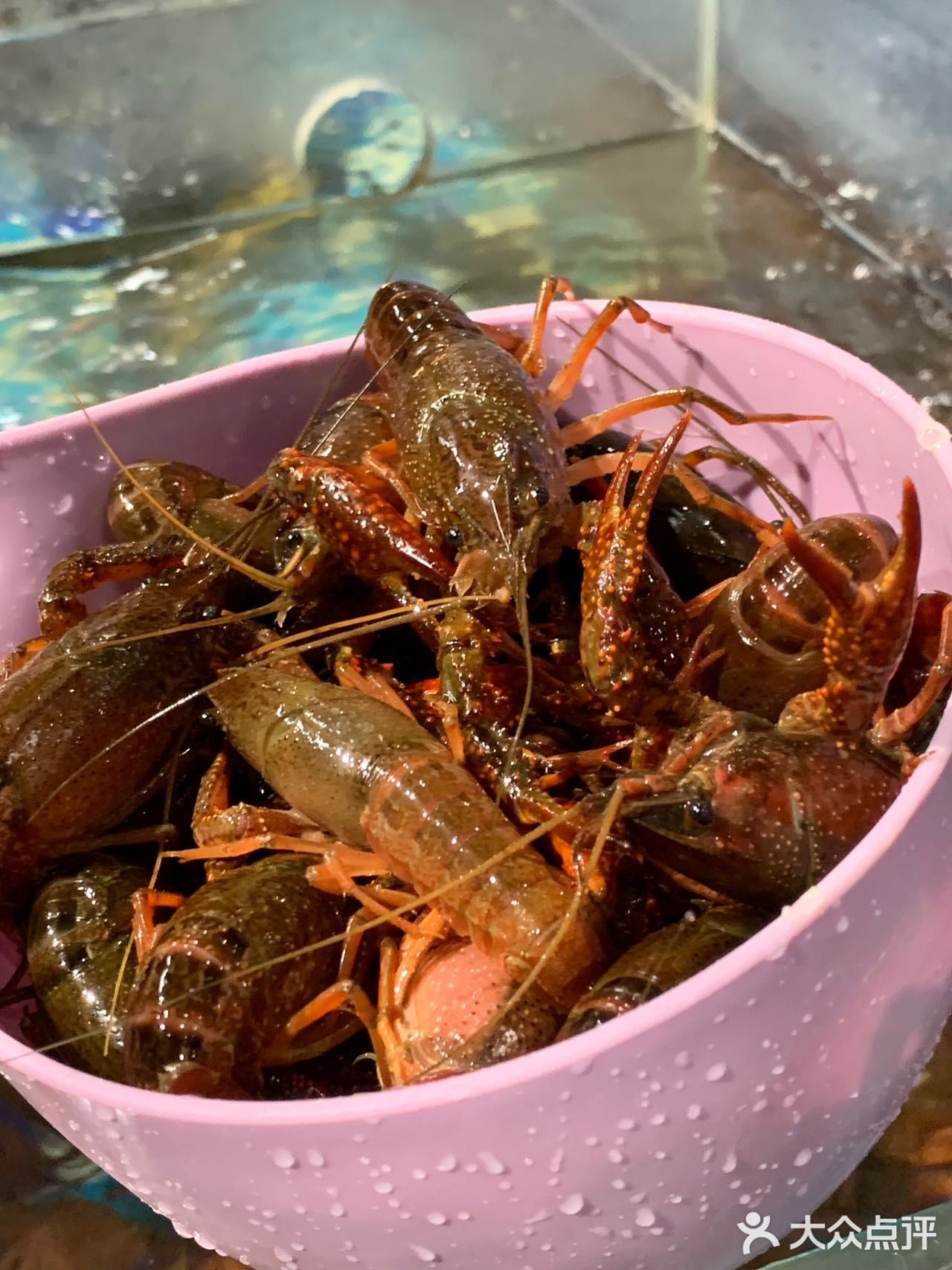 榴莲海鲜畅吃❗️就在梁溪万达四楼❗️