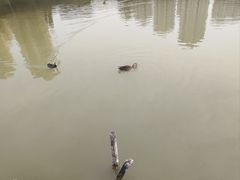 -前关湿地公园