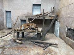 -西安秦岭野生动物园