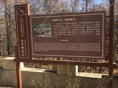 -白草畔自然风景区