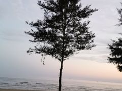 -江山半岛白浪滩景区