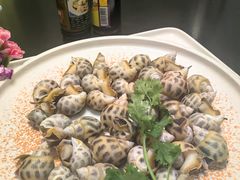 -万兴东澄湖大酒楼
